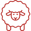 004 sheep 1