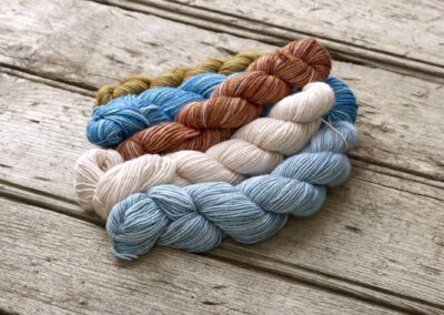 FISET14 Phoebe