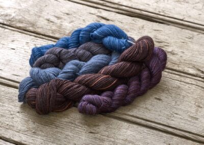 FISET17 Tabitha