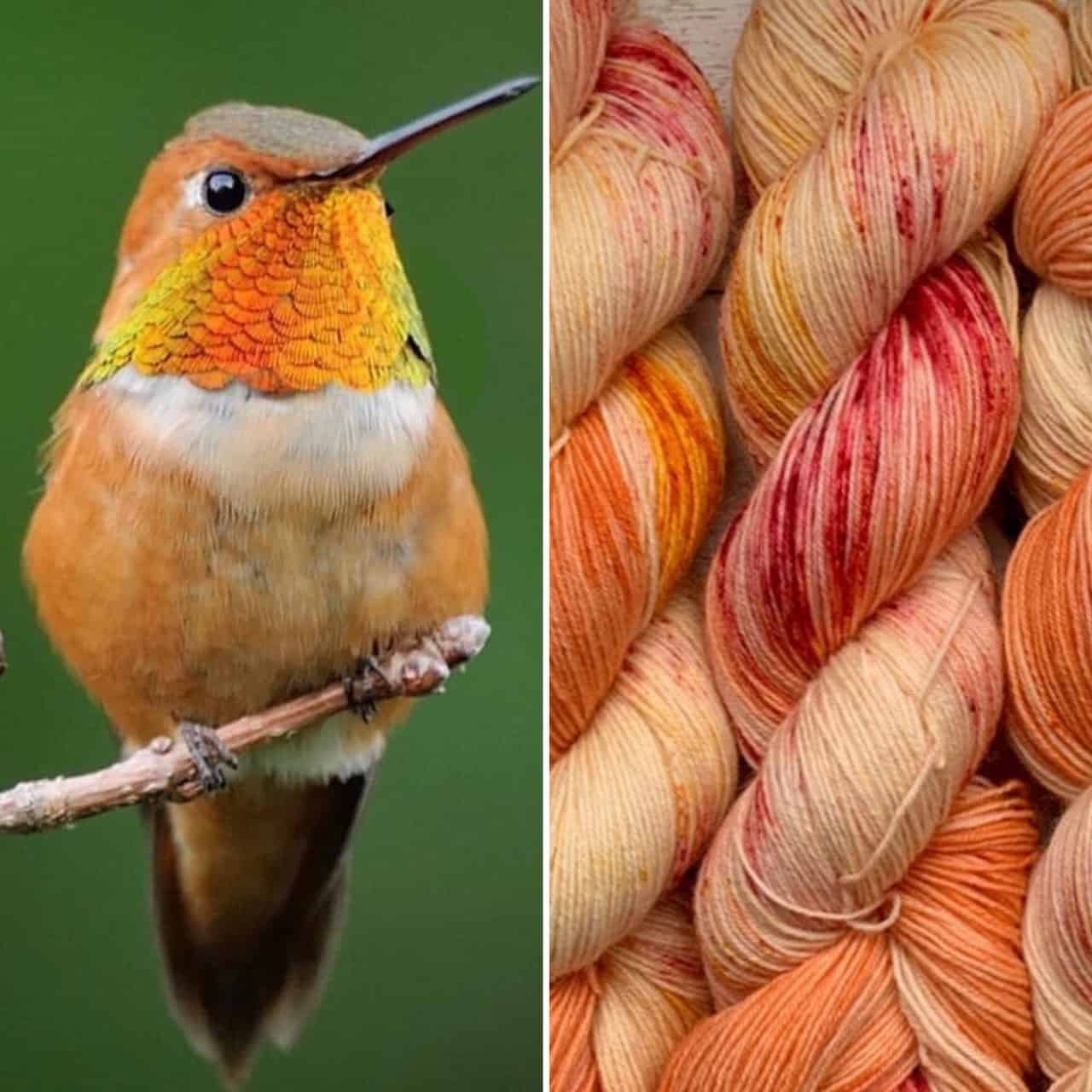 Yarn dyed by Badcattoo Hand dyed yarn