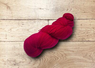 M21001 Beet NEW