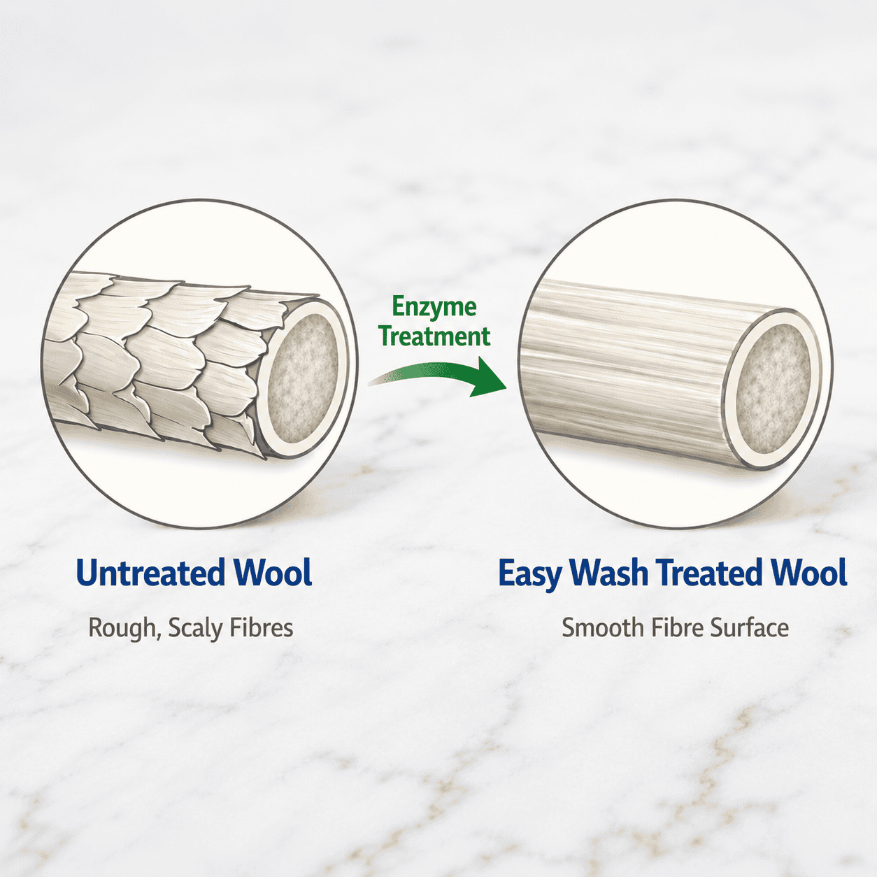 Easy wash Infographic